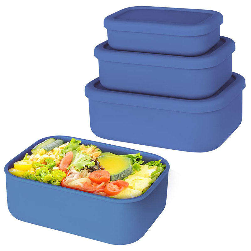 Leak-Resistant Bento Lunch Box - Meal Prep Container ulasan dan harga