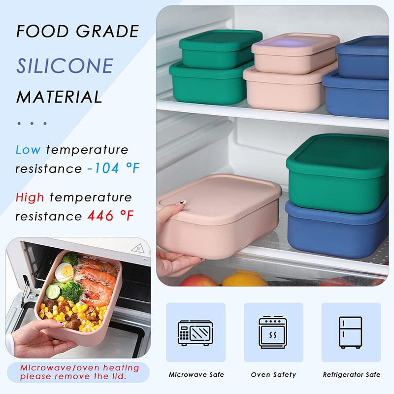 Leak-Resistant Bento Lunch Box - Meal Prep Container ulasan dan harga